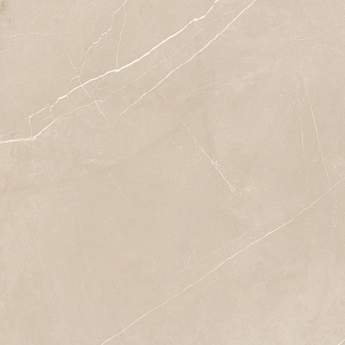 Плитка из керамогранита NL01 60x60x10 Непол.Рект. (Керамический гранит)