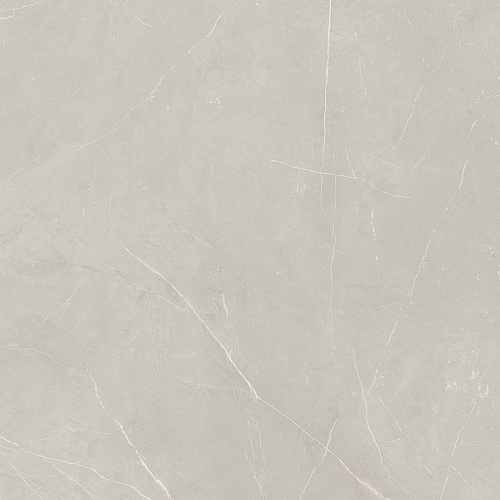 Плитка из керамогранита NL02 80x80x11 Непол.Рект. (Керамический гранит)