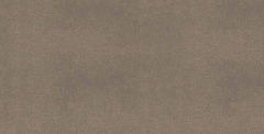 Плитка из керамогранита CA04 60x120x10 Непол.Рект. (Керамический гранит)