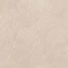 Плитка из керамогранита NL01 60x60x10 Непол.Рект. (Керамический гранит)