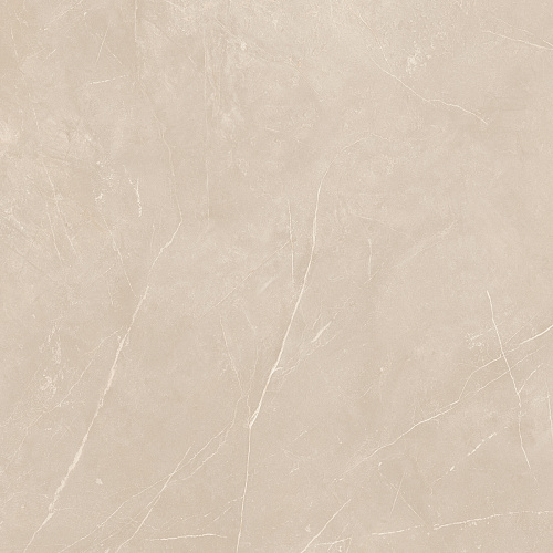 Плитка из керамогранита NL01 60x60x10 Непол.Рект. (Керамический гранит)