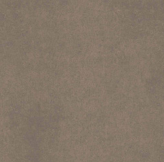 Плитка из керамогранита CA04 60x60x10 Непол.Рект. (Керамический гранит)