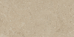 Плитка из керамогранита NP02 30,6x60,9x8 Непол. (Керамический гранит)