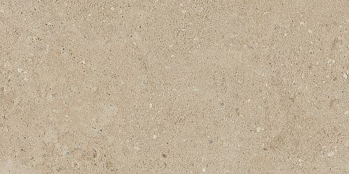 Плитка из керамогранита NP02 30,6x60,9x8 Непол. (Керамический гранит)