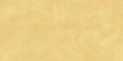Плитка из керамогранита SR04 60x120х10 Непол.Рект. (Керамический гранит)