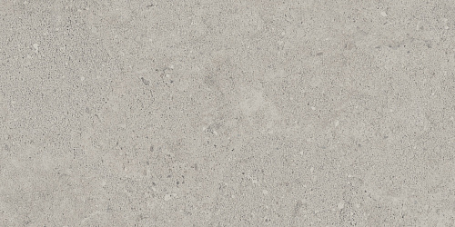 Плитка из керамогранита NP01 30,6x60,9x8 Непол. (Керамический гранит)