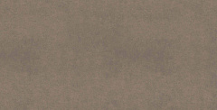 Плитка из керамогранита CA04 60x120x10 Непол.Рект. (Керамический гранит)
