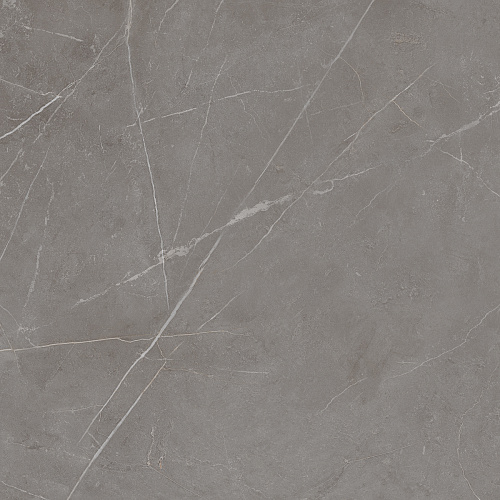 Плитка из керамогранита NL03 60x60x10 Непол.Рект. (Керамический гранит)