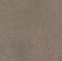 Плитка из керамогранита CA04 60x60x10 Непол.Рект. (Керамический гранит)