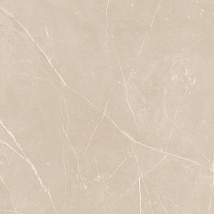 Плитка из керамогранита NL01 60x60x10 Непол.Рект. (Керамический гранит)