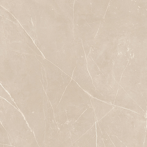 Плитка из керамогранита NL01 60x60x10 Непол.Рект. (Керамический гранит)