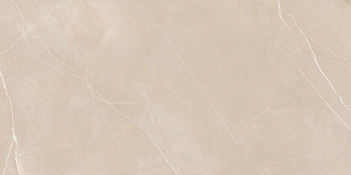 Плитка из керамогранита NL01 60x120x10 Непол.Рект. (Керамический гранит)