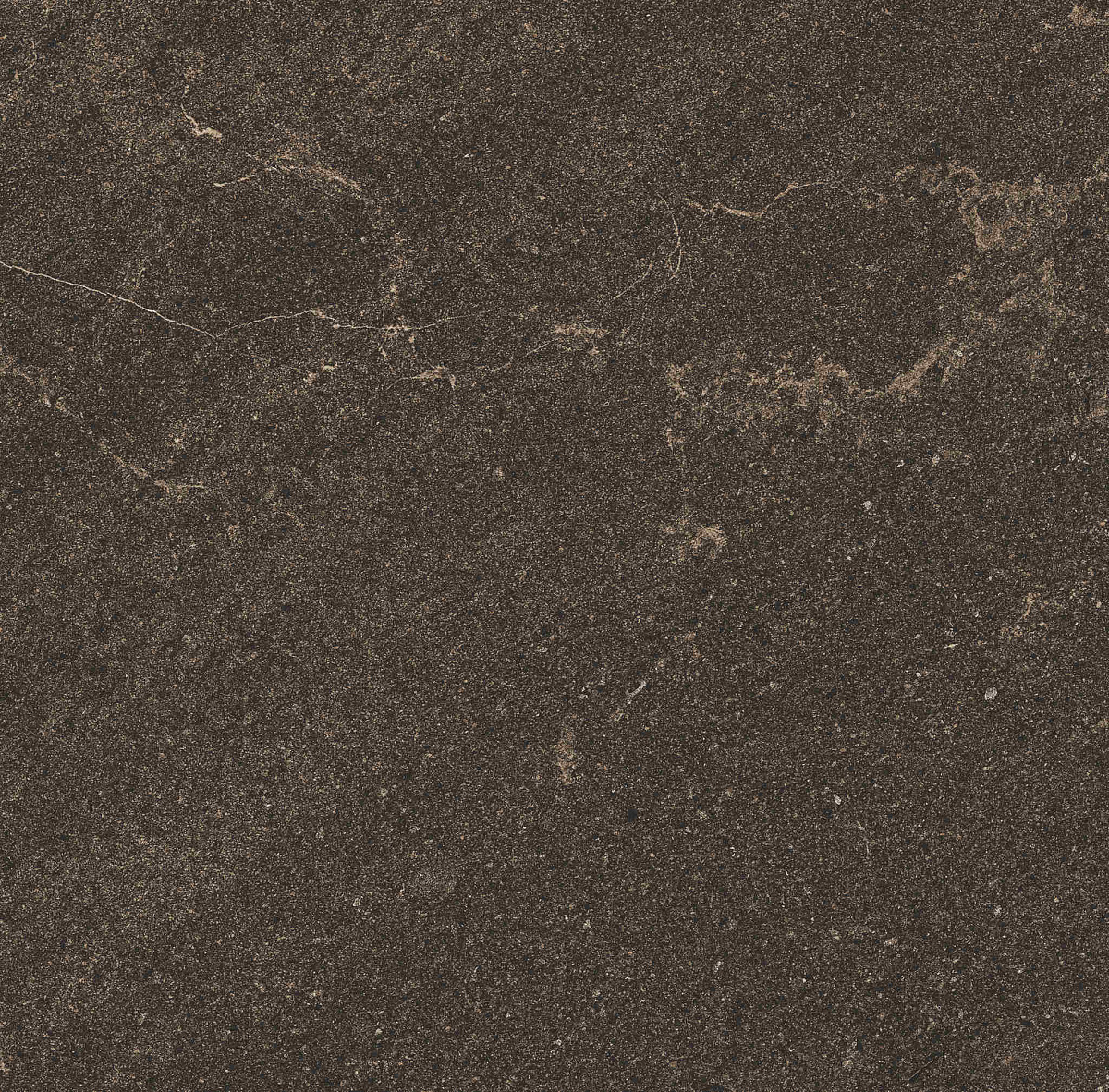 Плитка из керамогранита GB04 60x60x10 Непол.Рект. (Керамический гранит)