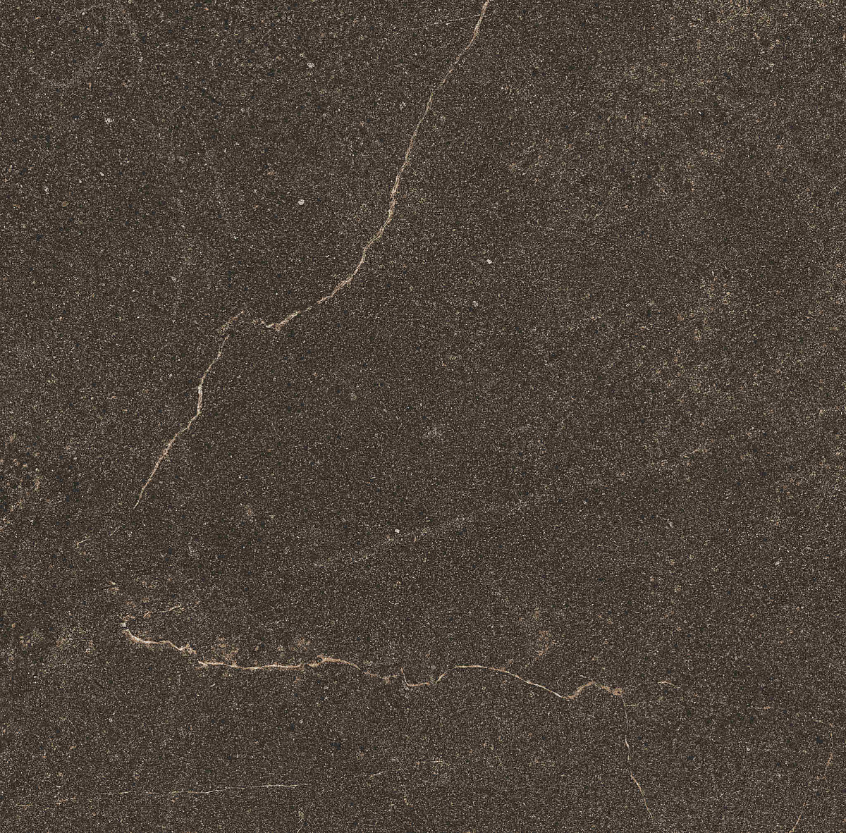 Плитка из керамогранита GB04 60x60x10 Непол.Рект. (Керамический гранит)