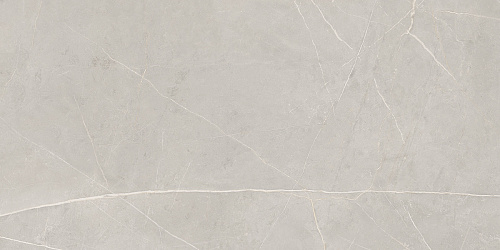 Плитка из керамогранита NL02 60x120x10 Непол.Рект. (Керамический гранит)