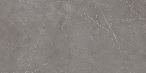 Плитка из керамогранита NL03 60x120x10 Непол.Рект. (Керамический гранит)