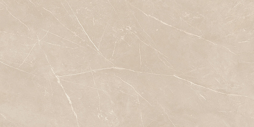 Плитка из керамогранита NL01 60x120x10 Непол.Рект. (Керамический гранит)