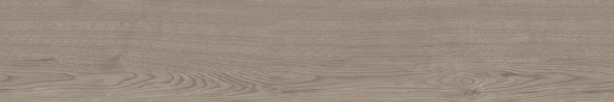 Плитка из керамогранита CW02 19,4х120х10 Непол.Рект. (Керамический гранит)