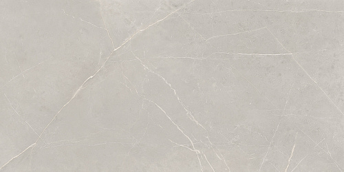 Плитка из керамогранита NL02 60x120x10 Непол.Рект. (Керамический гранит)
