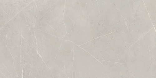 Плитка из керамогранита NL02 60x120x10 Непол.Рект. (Керамический гранит)