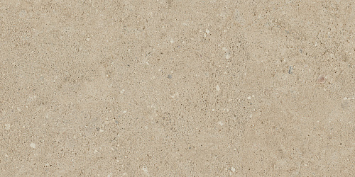 Плитка из керамогранита NP02 30,6x60,9x8 Непол. (Керамический гранит)