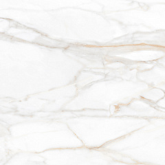 Плитка из керамогранита SM02 60x60x10 Полир. (Керамический гранит)