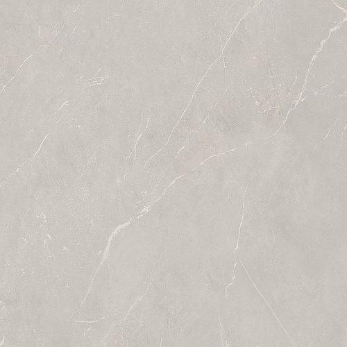 Плитка из керамогранита NL02 60x60x10 Непол.Рект. (Керамический гранит)