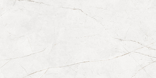 Плитка из керамогранита NL00 60x120x10 Полир. (Керамический гранит)