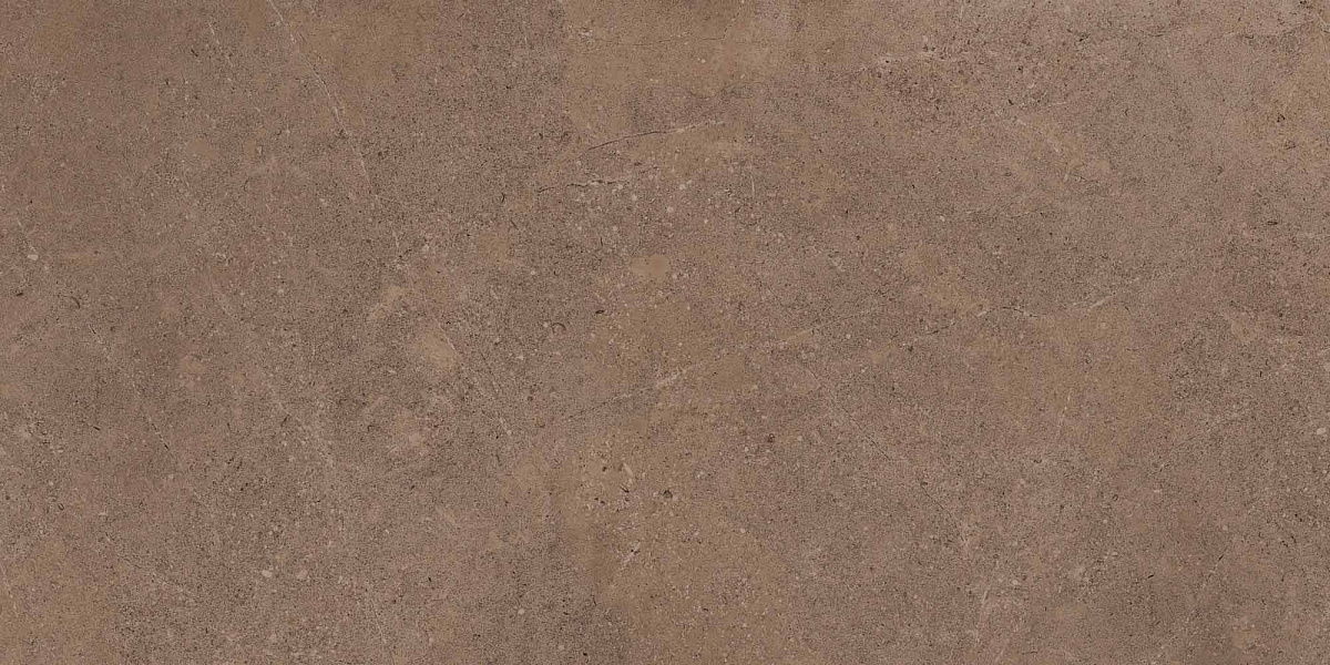 Плитка из керамогранита GO02 60x120x10 Непол.Рект. (Керамический гранит)