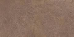 Плитка из керамогранита GO02 60x120x10 Непол.Рект. (Керамический гранит)