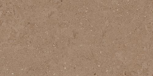Плитка из керамогранита NP03 30,6x60,9x8 Непол. (Керамический гранит)
