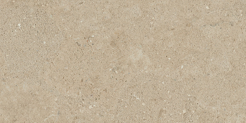 Плитка из керамогранита NP02 30,6x60,9x8 Непол. (Керамический гранит)