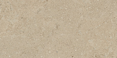 Плитка из керамогранита NP02 30,6x60,9x8 Непол. (Керамический гранит)