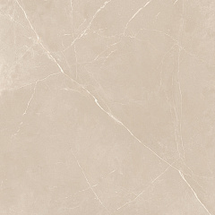 Плитка из керамогранита NL01 60x60x10 Непол.Рект. (Керамический гранит)