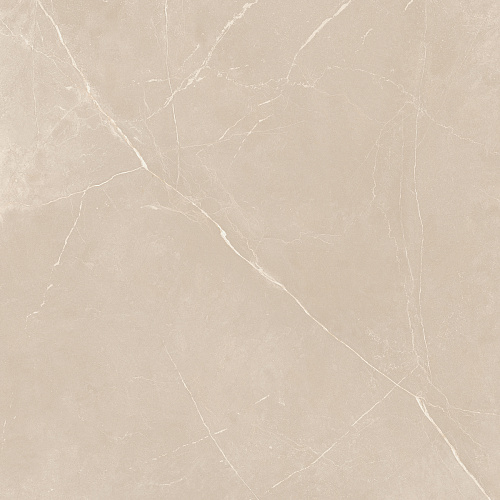Плитка из керамогранита NL01 60x60x10 Непол.Рект. (Керамический гранит)