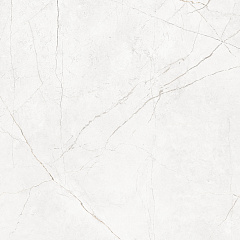 Плитка из керамогранита NL00 60x60x10 Непол.Рект. (Керамический гранит)