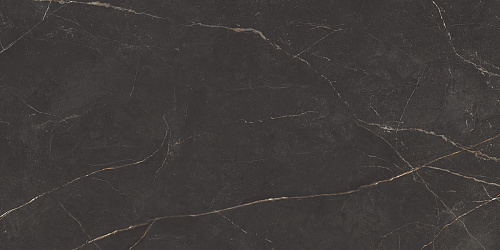 Плитка из керамогранита NL04 60x120x10 Непол.Рект. (Керамический гранит)