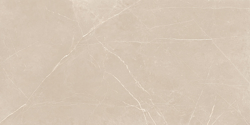 Плитка из керамогранита NL01 60x120x10 Непол.Рект. (Керамический гранит)
