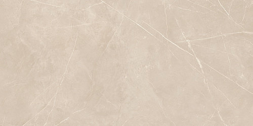 Плитка из керамогранита NL01 60x120x10 Полир. (Керамический гранит)