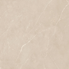 Плитка из керамогранита NL01 60x60x10 Непол.Рект. (Керамический гранит)