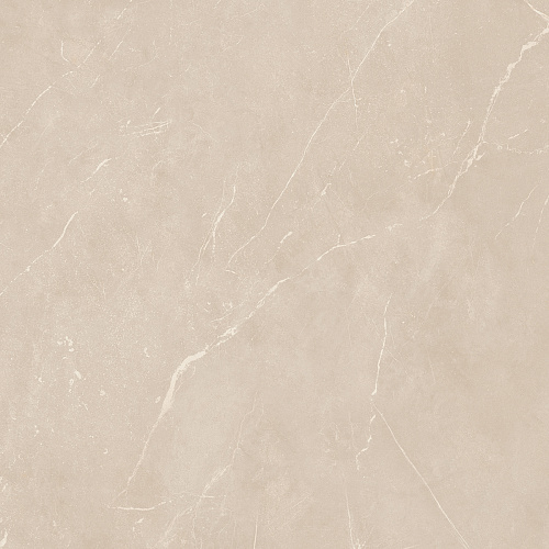 Плитка из керамогранита NL01 60x60x10 Непол.Рект. (Керамический гранит)