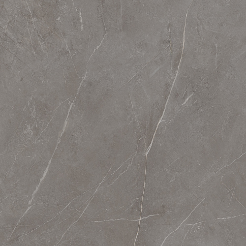 Плитка из керамогранита NL03 60x60x10 Непол.Рект. (Керамический гранит)
