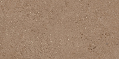 Плитка из керамогранита NP03 30,6x60,9x8 Непол. (Керамический гранит)