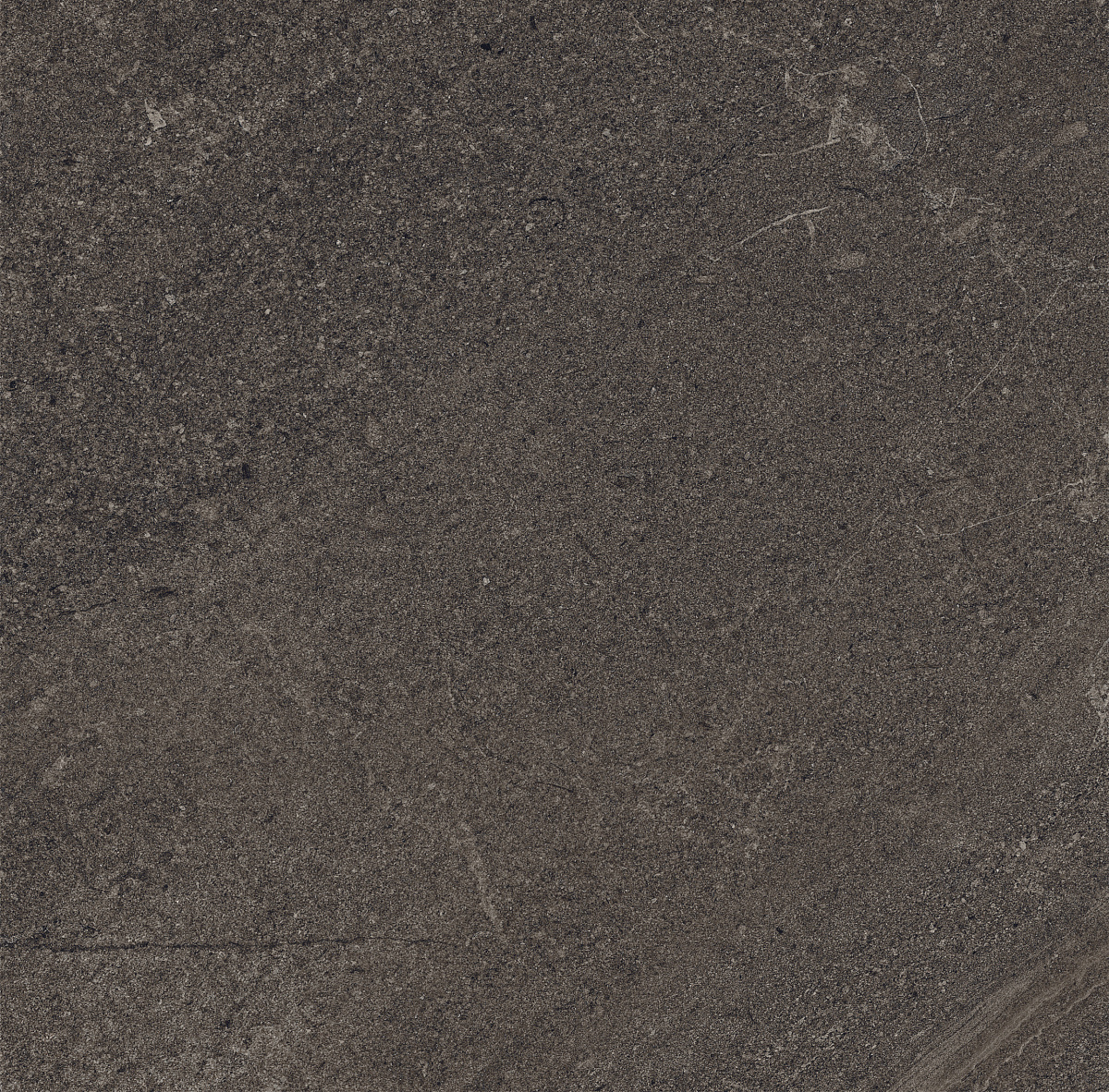 Плитка из керамогранита GB03 60x60x10 Непол.Рект. (Керамический гранит)