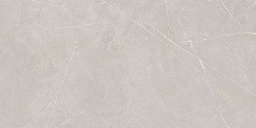 Плитка из керамогранита NL02 60x120x10 Непол.Рект. (Керамический гранит)