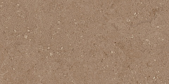 Плитка из керамогранита NP03 30,6x60,9x8 Непол. (Керамический гранит)