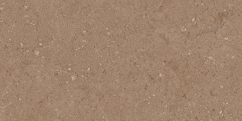 Плитка из керамогранита NP03 30,6x60,9x8 Непол. (Керамический гранит)