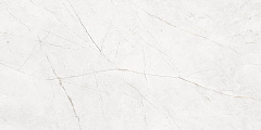 Плитка из керамогранита NL00 60x120x10 Непол.Рект. (Керамический гранит)
