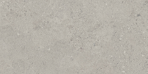 Плитка из керамогранита NP01 30,6x60,9x8 Непол. (Керамический гранит)