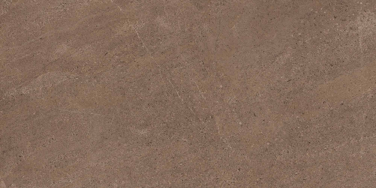 Плитка из керамогранита GO02 60x120x10 Непол.Рект. (Керамический гранит)